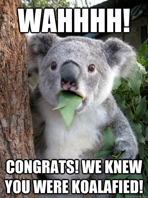 Wahhhh! Congrats! We knew you were koalafied!  Surprised Koala