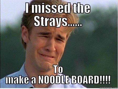 I MISSED THE STRAYS...... TO MAKE A NOODLE BOARD!!!! 1990s Problems