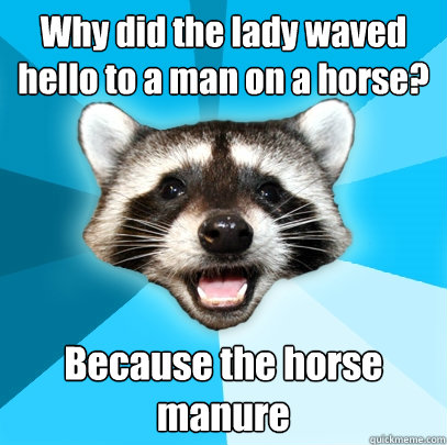 Why did the lady waved hello to a man on a horse? Because the horse manure  Lame Pun Coon