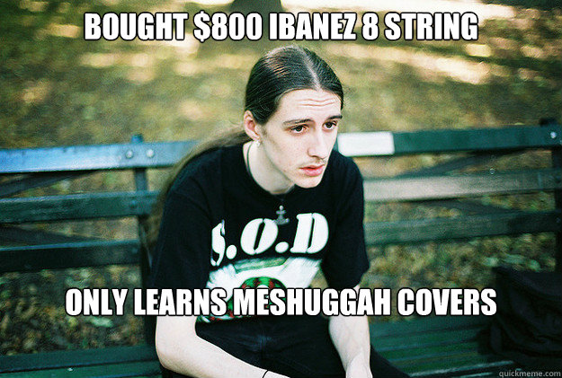 bought $800 ibanez 8 string only learns meshuggah covers  First World Metal Problems