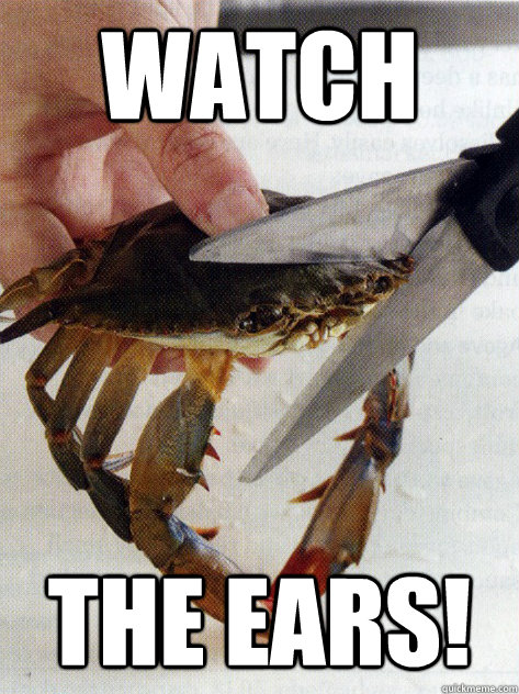 Watch  THE EARS! - Watch  THE EARS!  Optimistic Crab