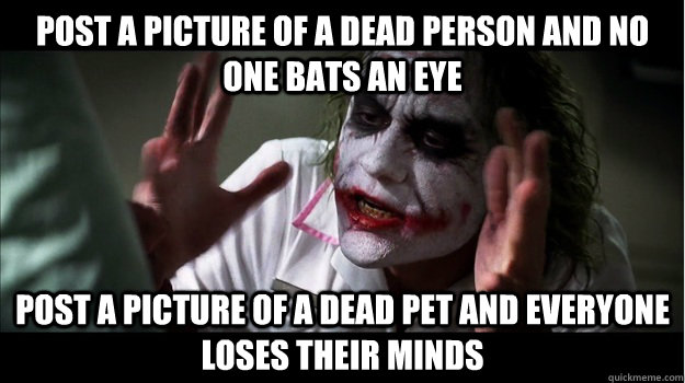 Post a picture of a dead person and no one bats an eye post a picture of a dead pet and everyone loses their minds  Joker Mind Loss