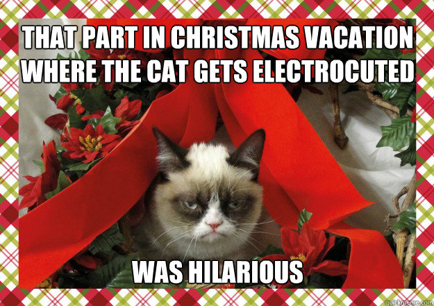 that part in christmas vacation where the cat gets electrocuted was hilarious  