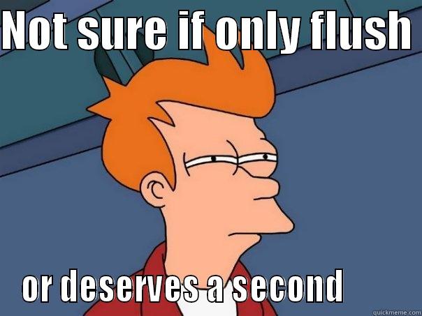 flushing fry - NOT SURE IF ONLY FLUSH  OR DESERVES A SECOND         Futurama Fry