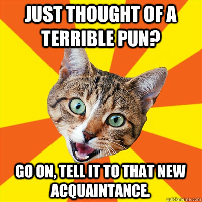 just thought of a terrible pun? go on, tell it to that new acquaintance.  Bad Advice Cat