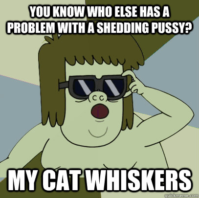 You know who else has a problem with a shedding pussy? My cat whiskers - You know who else has a problem with a shedding pussy? My cat whiskers  Muscle Man My Mom