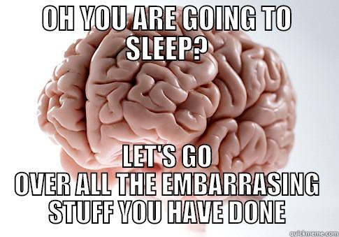 OH YOU ARE GOING TO SLEEP? LET'S GO OVER ALL THE EMBARRASING STUFF YOU HAVE DONE Scumbag Brain