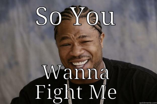 SO YOU WANNA FIGHT ME Xzibit meme