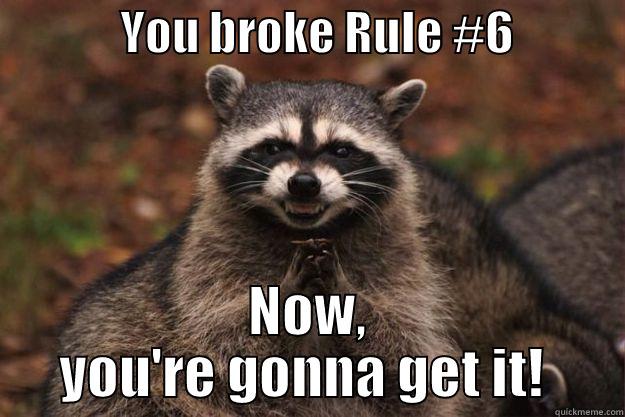              YOU BROKE RULE #6             NOW, YOU'RE GONNA GET IT!  Evil Plotting Raccoon