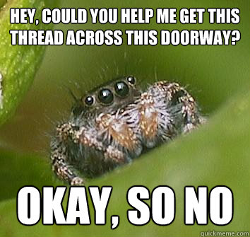 hey, could you help me get this thread across this doorway? okay, so no  Misunderstood Spider