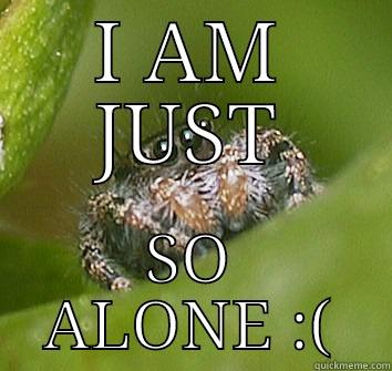 I AM JUST SO ALONE :( Misunderstood Spider