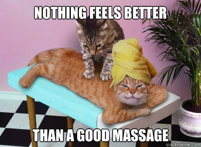nothing feels better  than a good massage  cat massage
