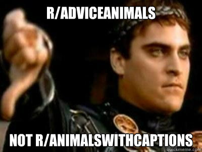 r/adviceanimals not r/animalswithcaptions  Downvoting Roman