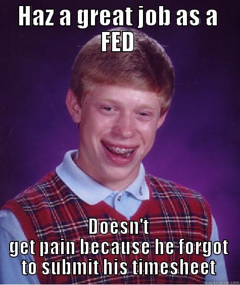 HAZ A GREAT JOB AS A FED DOESN'T GET PAIN BECAUSE HE FORGOT TO SUBMIT HIS TIMESHEET Bad Luck Brian