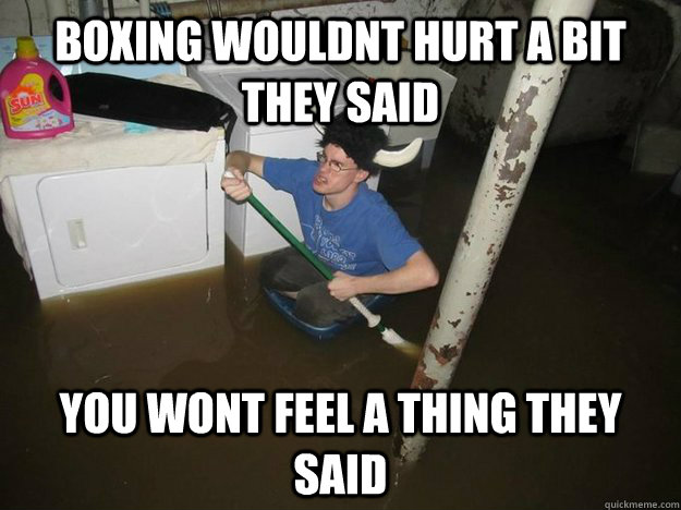 Boxing Wouldnt hurt a bit they said You wont feel a thing they said  Do the laundry they said