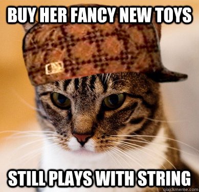 Buy her fancy new toys still plays with string - Buy her fancy new toys still plays with string  Scumbag Cat