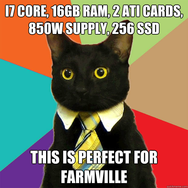 i7 core, 16gb ram, 2 ati cards, 850w supply, 256 SSD This is perfect for farmville  Business Cat