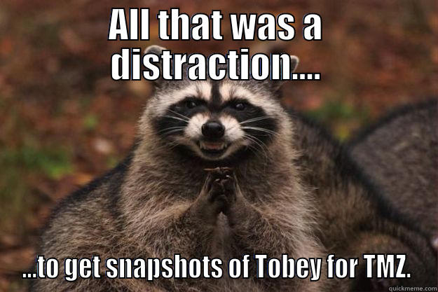 ALL THAT WAS A DISTRACTION.... ...TO GET SNAPSHOTS OF TOBEY FOR TMZ. Evil Plotting Raccoon