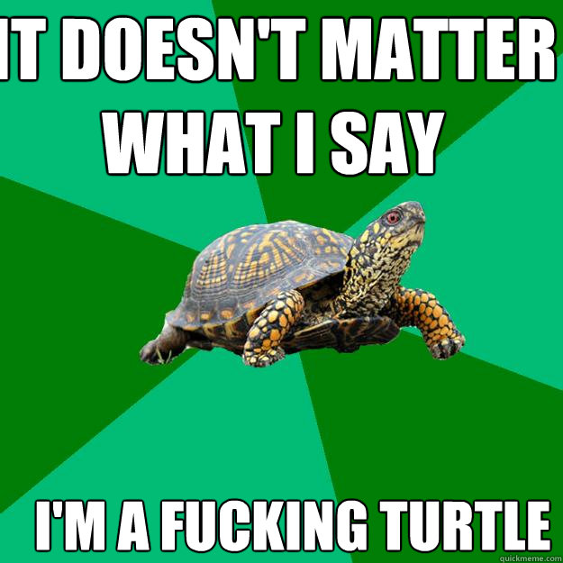 it doesn't matter what I say I'm a fucking turtle  Torrenting Turtle