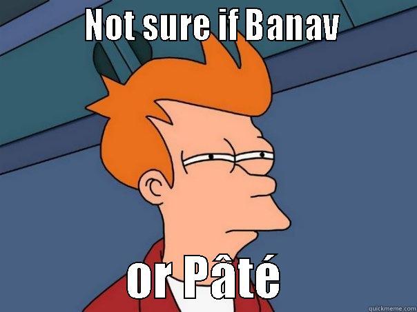           NOT SURE IF BANAV                       OR PÂTÉ              Futurama Fry