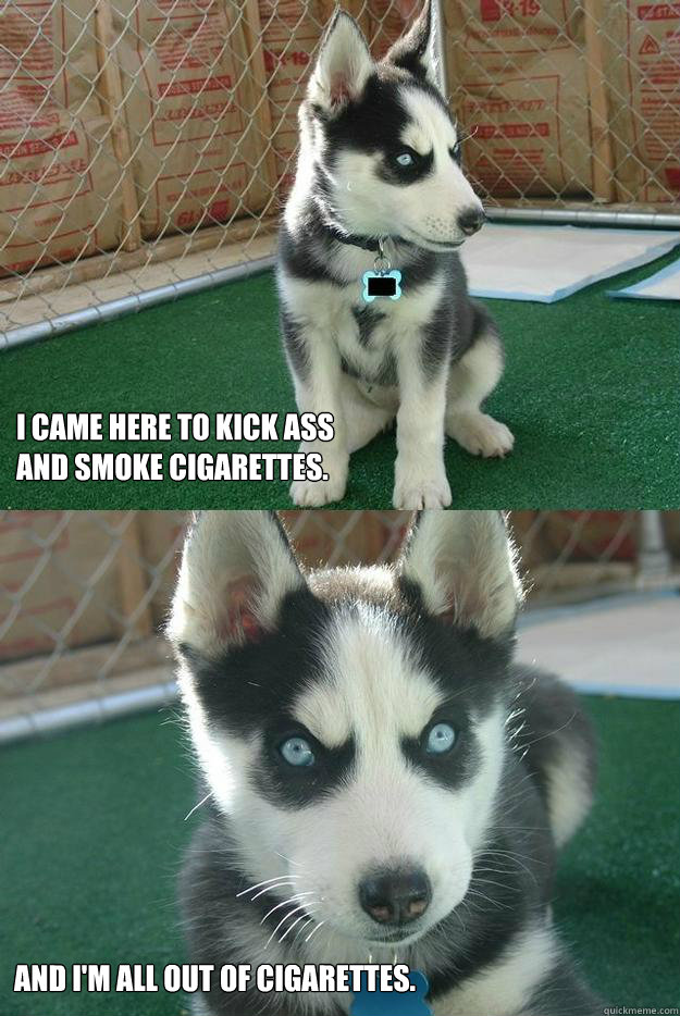 i came here to kick ass
and smoke cigarettes. and i'm all out of cigarettes.  Insanity puppy