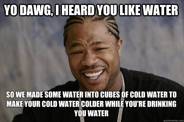 yo dawg, i heard you like water So we made some water into cubes of cold water to make your cold water colder while you're drinking you water  Xzibit