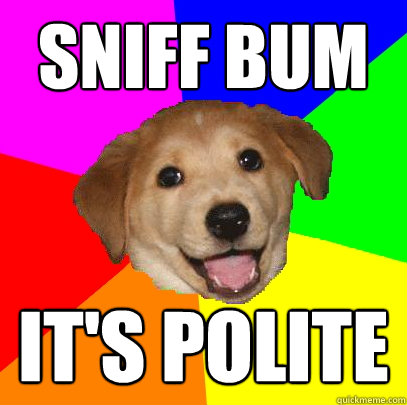 Sniff Bum It's polite  Advice Dog