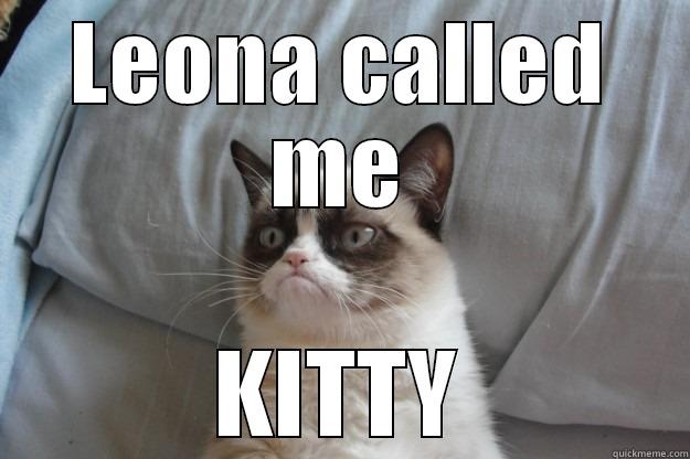 leona the kitty - LEONA CALLED ME KITTY Grumpy Cat