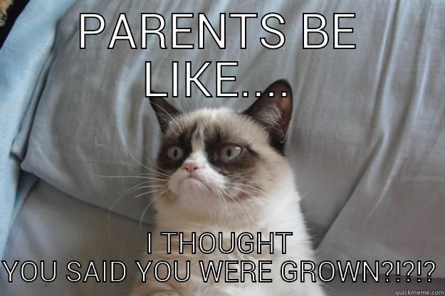 PARENTS BE LIKE.... I THOUGHT YOU SAID YOU WERE GROWN?!?!? Grumpy Cat