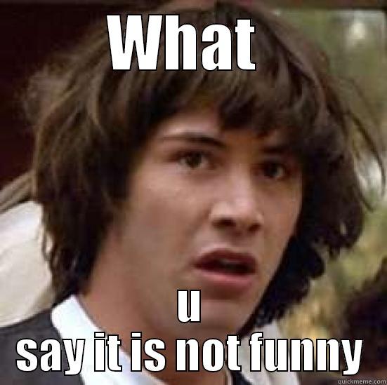            wAT - WHAT  U SAY IT IS NOT FUNNY conspiracy keanu