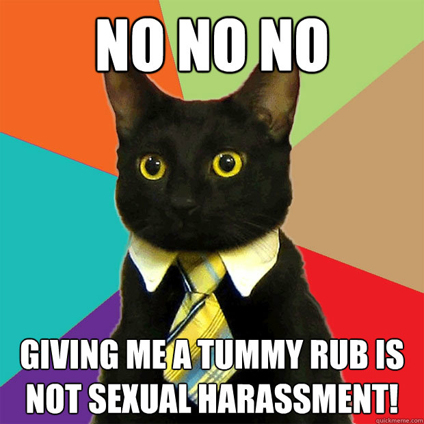 No no no Giving me a tummy rub is not sexual harassment!  Business Cat