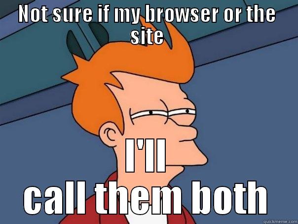 browser issues - NOT SURE IF MY BROWSER OR THE SITE I'LL CALL THEM BOTH Futurama Fry