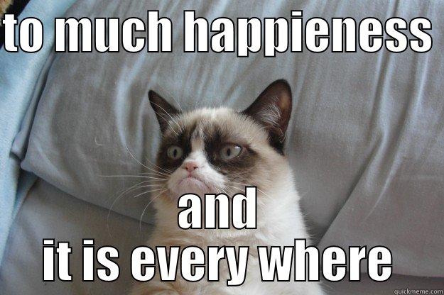 TO MUCH HAPPIENESS  AND IT IS EVERY WHERE Grumpy Cat