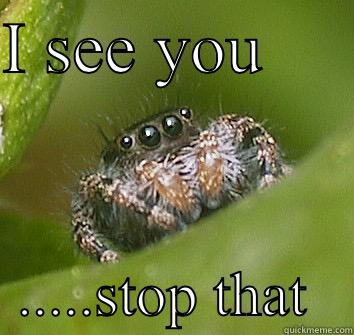 I SEE YOU        .....STOP THAT   Misunderstood Spider