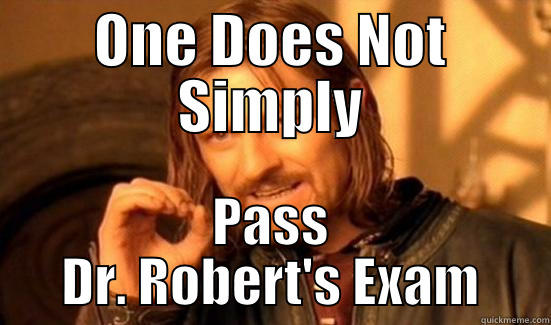 ONE DOES NOT SIMPLY PASS DR. ROBERT'S EXAM Boromir