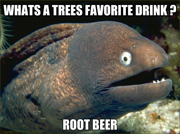 Whats a trees favorite drink ? Root Beer - Whats a trees favorite drink ? Root Beer  Bad Joke Eel