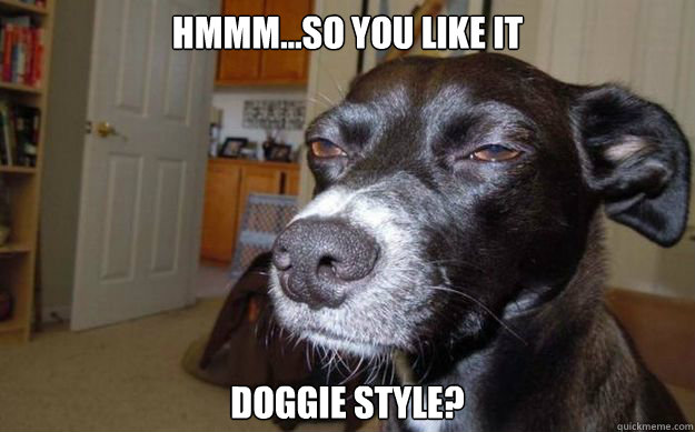 Hmmm...so you like it  doggie style?  Skeptical Mutt