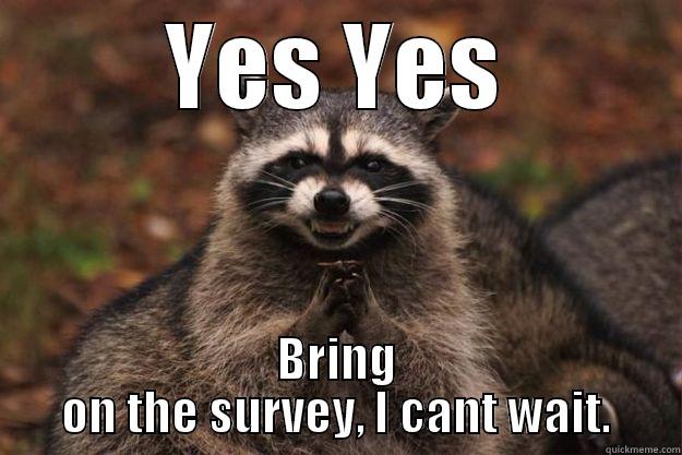 YES YES BRING ON THE SURVEY, I CANT WAIT. Evil Plotting Raccoon