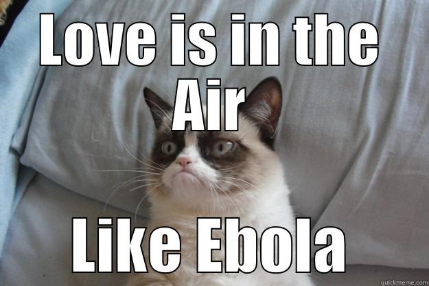 Love Is...Like Ebola - LOVE IS IN THE AIR LIKE EBOLA Grumpy Cat