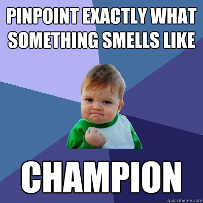 pinpoint exactly what something smells like champion  Success Kid