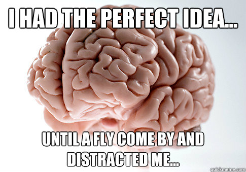 i had the perfect idea... until a fly come by and distracted me...  Scumbag Brain