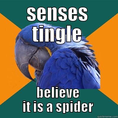 SENSES TINGLE BELIEVE IT IS A SPIDER Paranoid Parrot