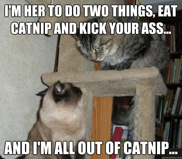 I'm her to do two things, eat catnip and kick your ass... And I'm all out of catnip... - I'm her to do two things, eat catnip and kick your ass... And I'm all out of catnip...  Battle Cats