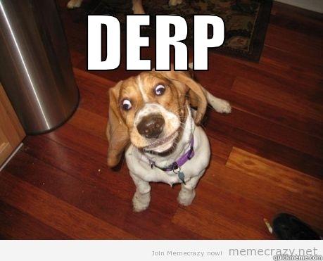 Dumb derp - DERP  Misc