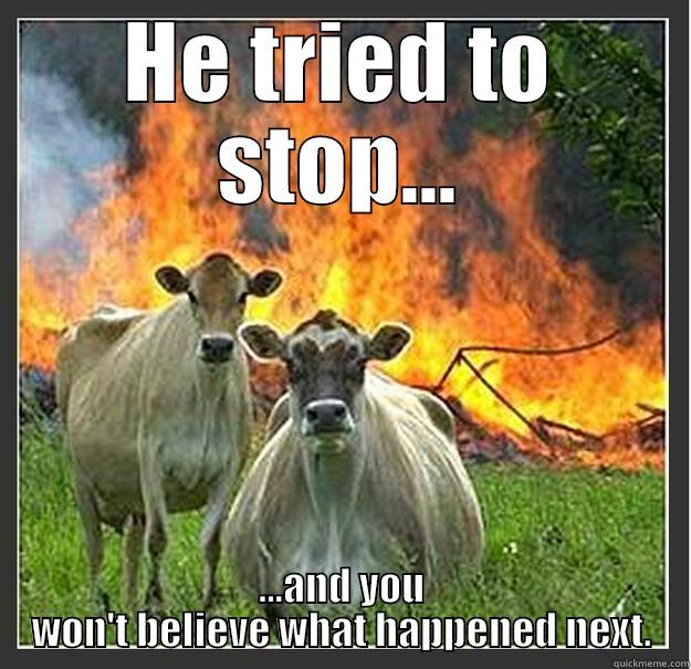 HE TRIED TO STOP... ...AND YOU WON'T BELIEVE WHAT HAPPENED NEXT. Evil cows