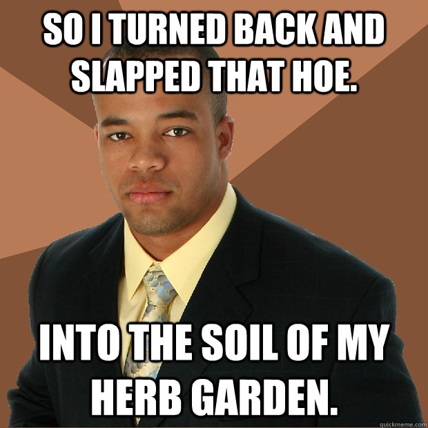 So I turned back and slapped that hoe. Into the soil of my herb garden. - So I turned back and slapped that hoe. Into the soil of my herb garden.  Successful Black Man