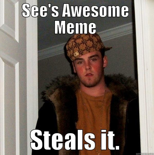 SEE'S AWESOME MEME STEALS IT. Scumbag Steve