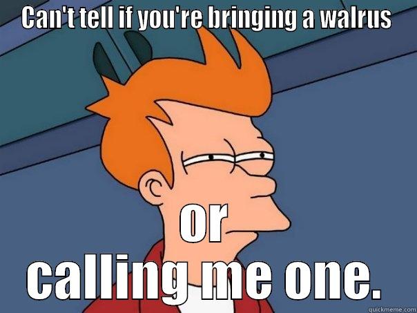 CAN'T TELL IF YOU'RE BRINGING A WALRUS OR CALLING ME ONE. Futurama Fry