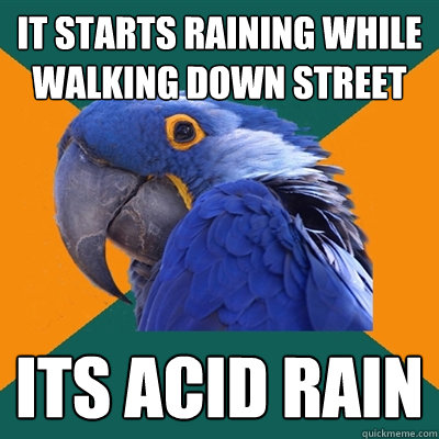 it starts raining while walking down street its acid rain - it starts raining while walking down street its acid rain  Paranoid Parrot