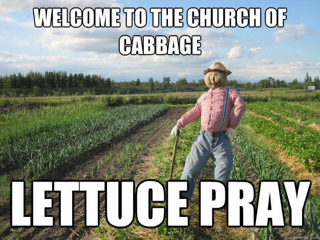 Welcome to The Church of Cabbage Lettuce pray  Scarecrow